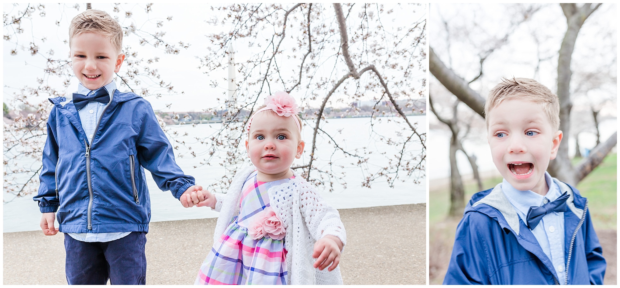 D.C. cherry blossoms family photos