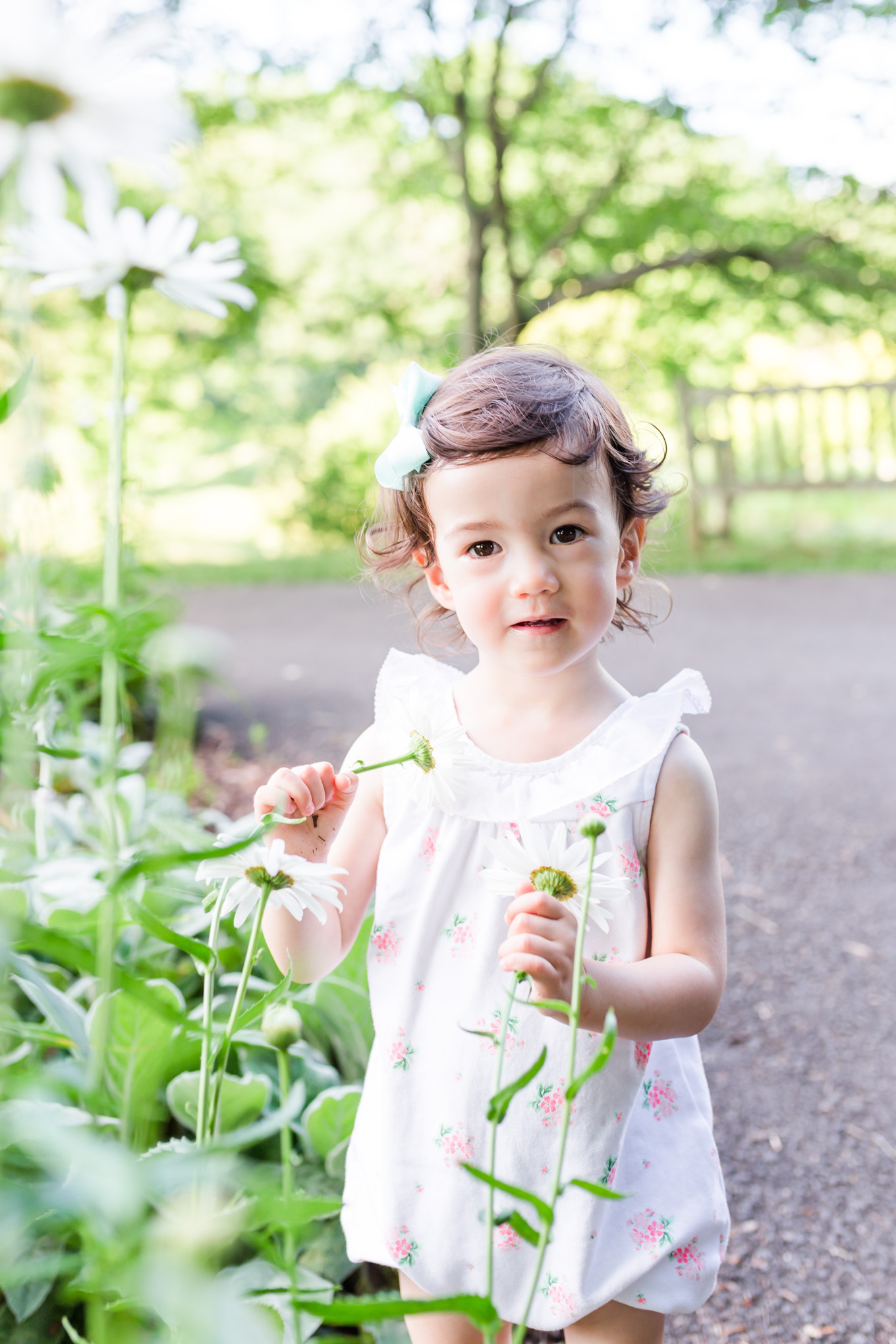 toddler girl, smelling flowers, daisies