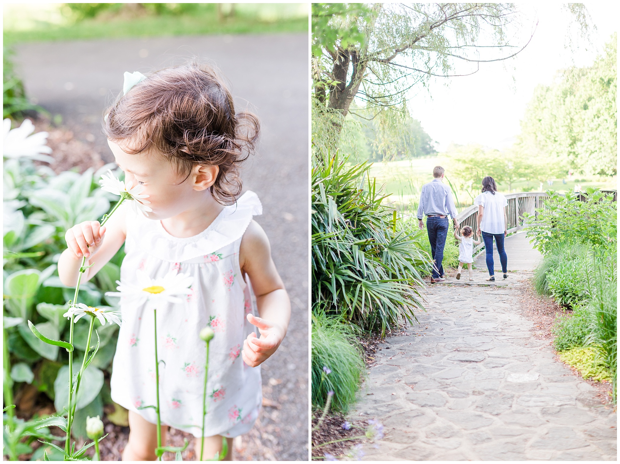 toddler, smelling flowers, walking together, family of three