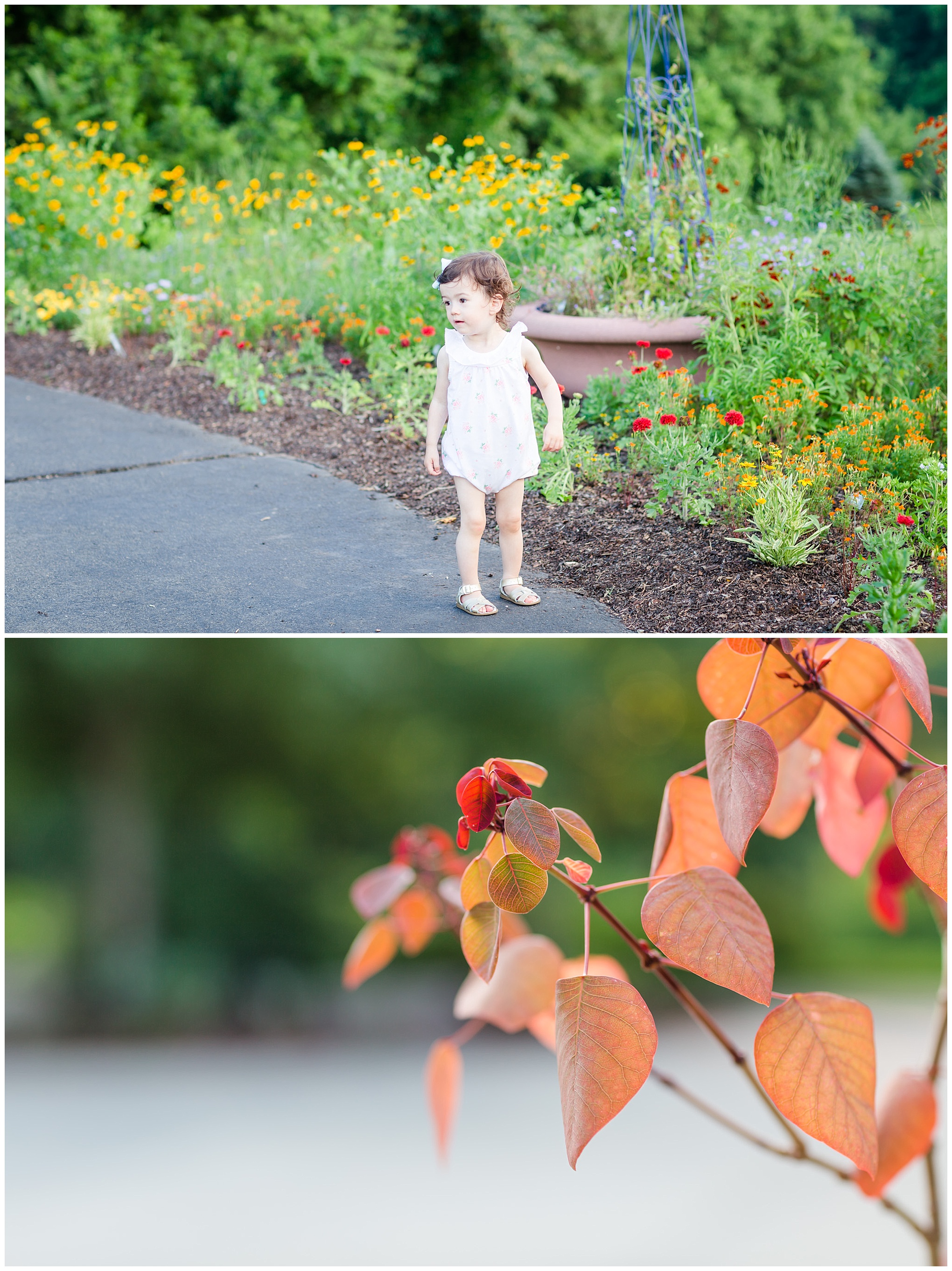 toddler, flowers, Reston, botanical gardens