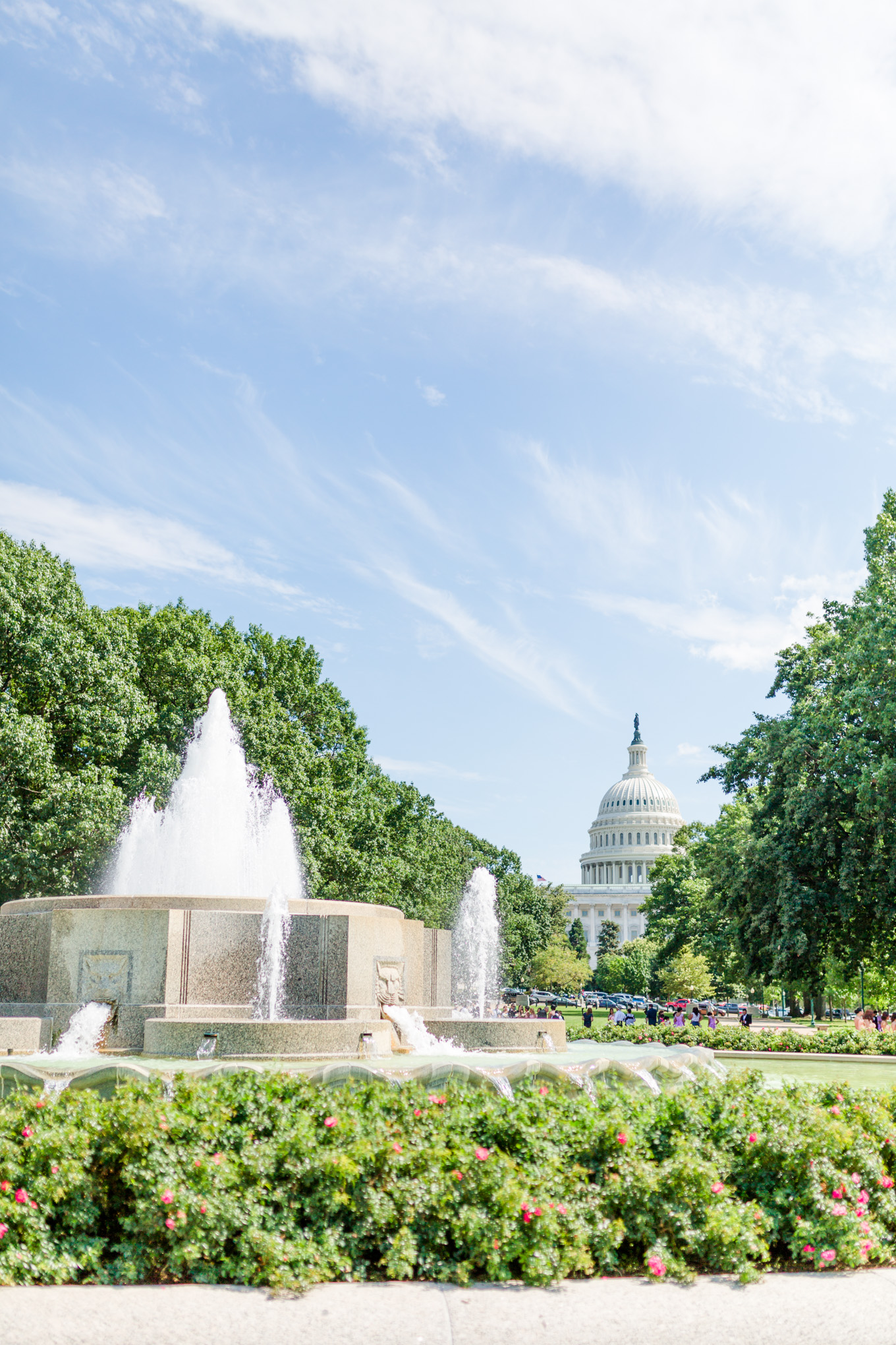 D.C. photo shoot spots, Capitol Hill, Lower Senate Park, capitol building