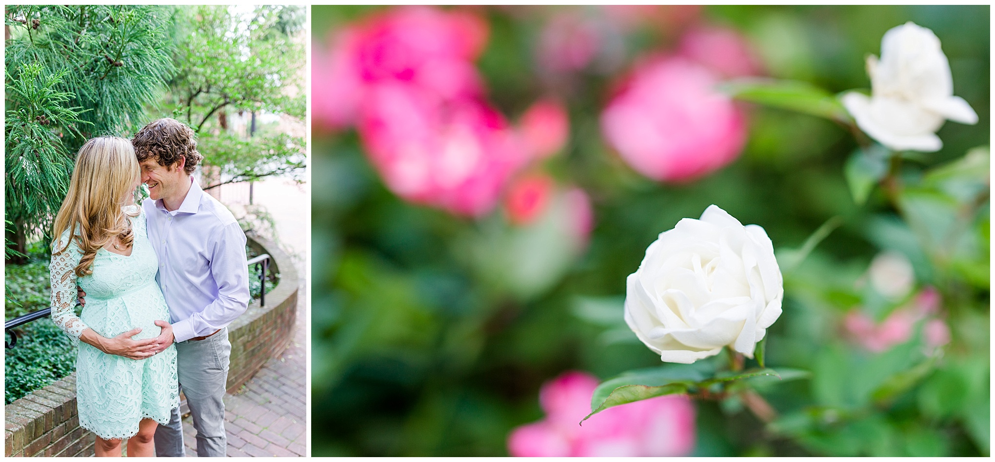 Georgetown maternity photos, married couple, white roses, pink roses, pregnant woman, garden, baby bump