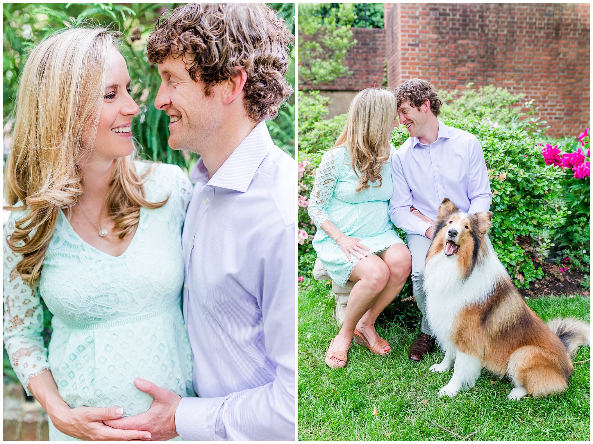 Georgetown maternity photos, married couple, pregnant woman, garden, baby bump, collie dog
