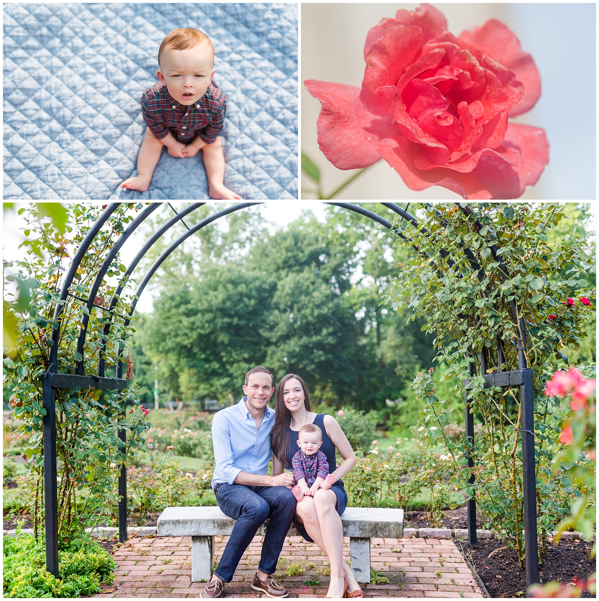 Bon Air Memorial Rose Garden family photos, family of three, garden photos, archway , family portraits, seated portraits, laughing baby, roses, pink roses