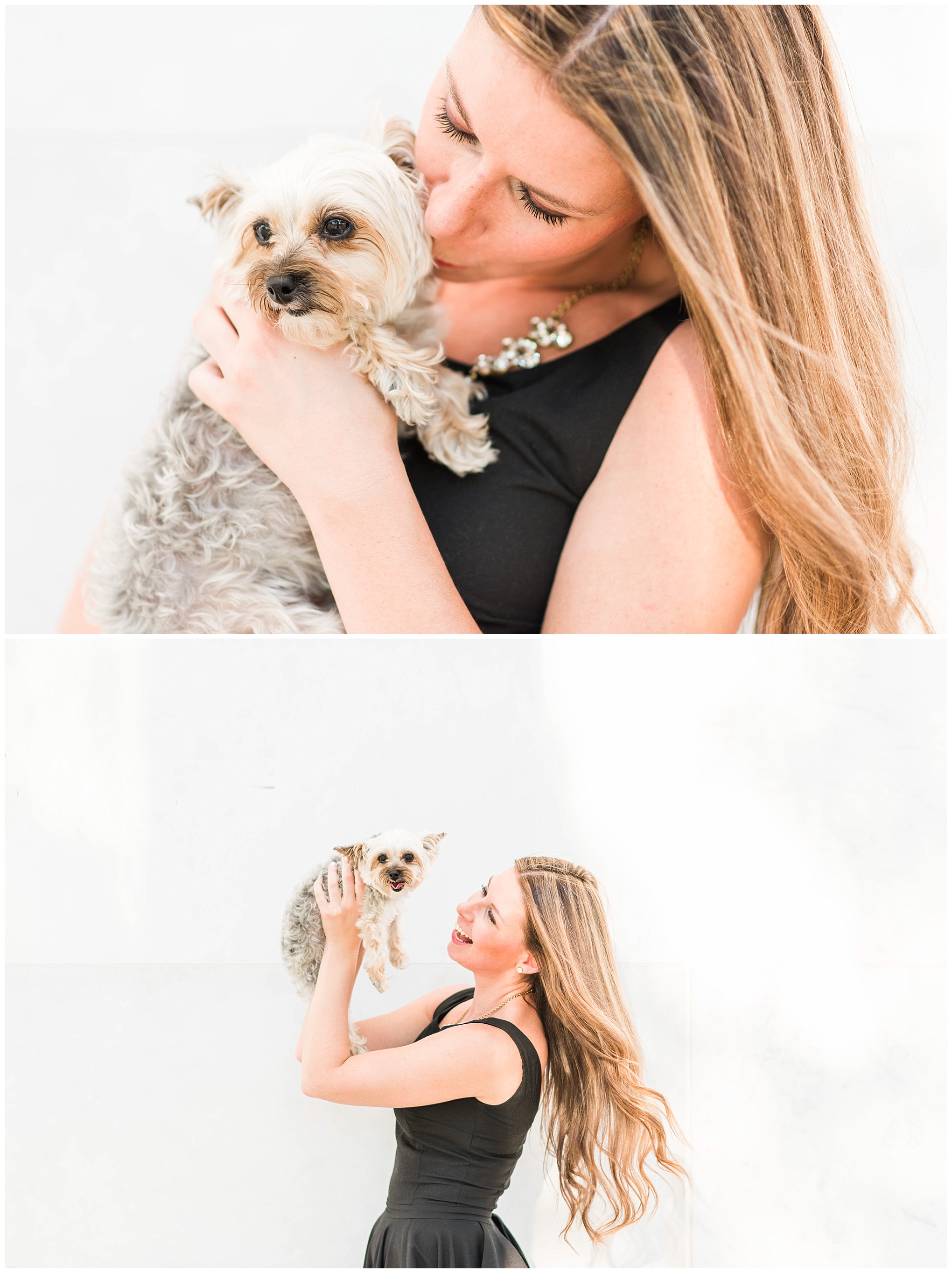 photography website launch, website launch, D.C. photographer, D.C. wedding photographer, D.C., headshots, branding session, J. Crew, The Kennedy Center, black dress, Rent The Runway, yorkipoo, small dog
