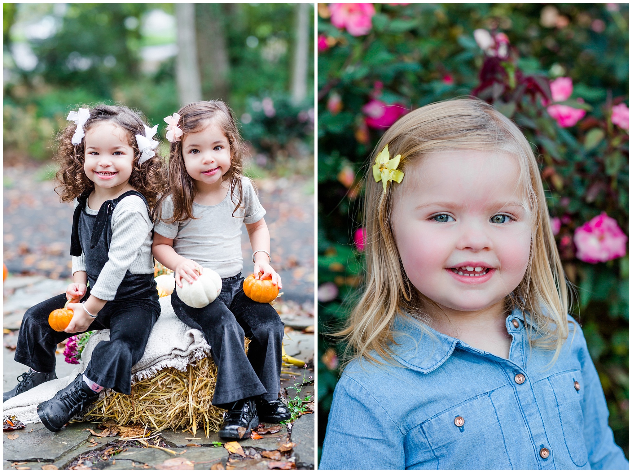 autumn weekend, Arlington, northern Virginia, twin girls, toddler girl