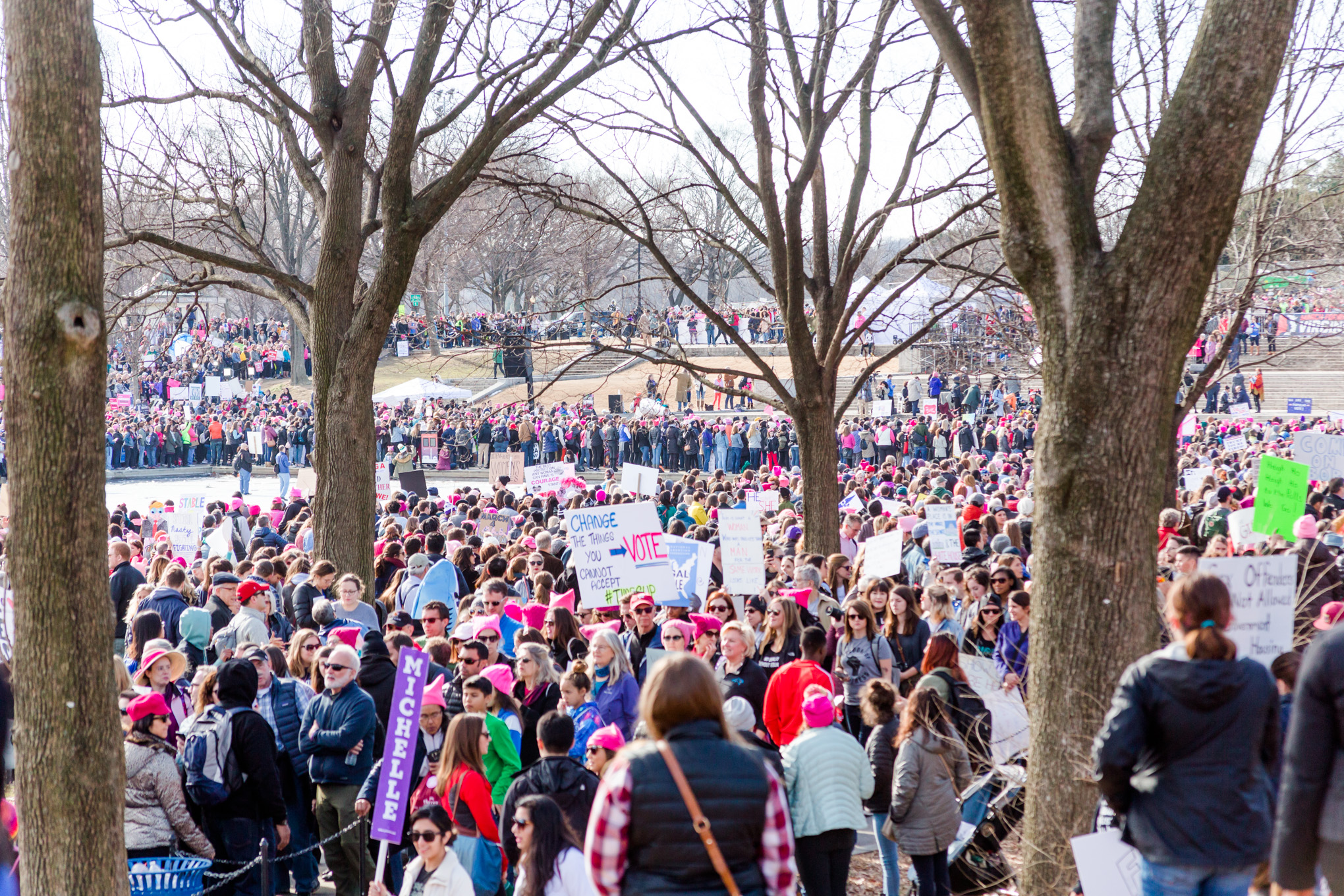 DC Women's March, Women's March, Washington, DC, photo journalism, January 2018, National Mall, Reflecting Pool, protest, rally