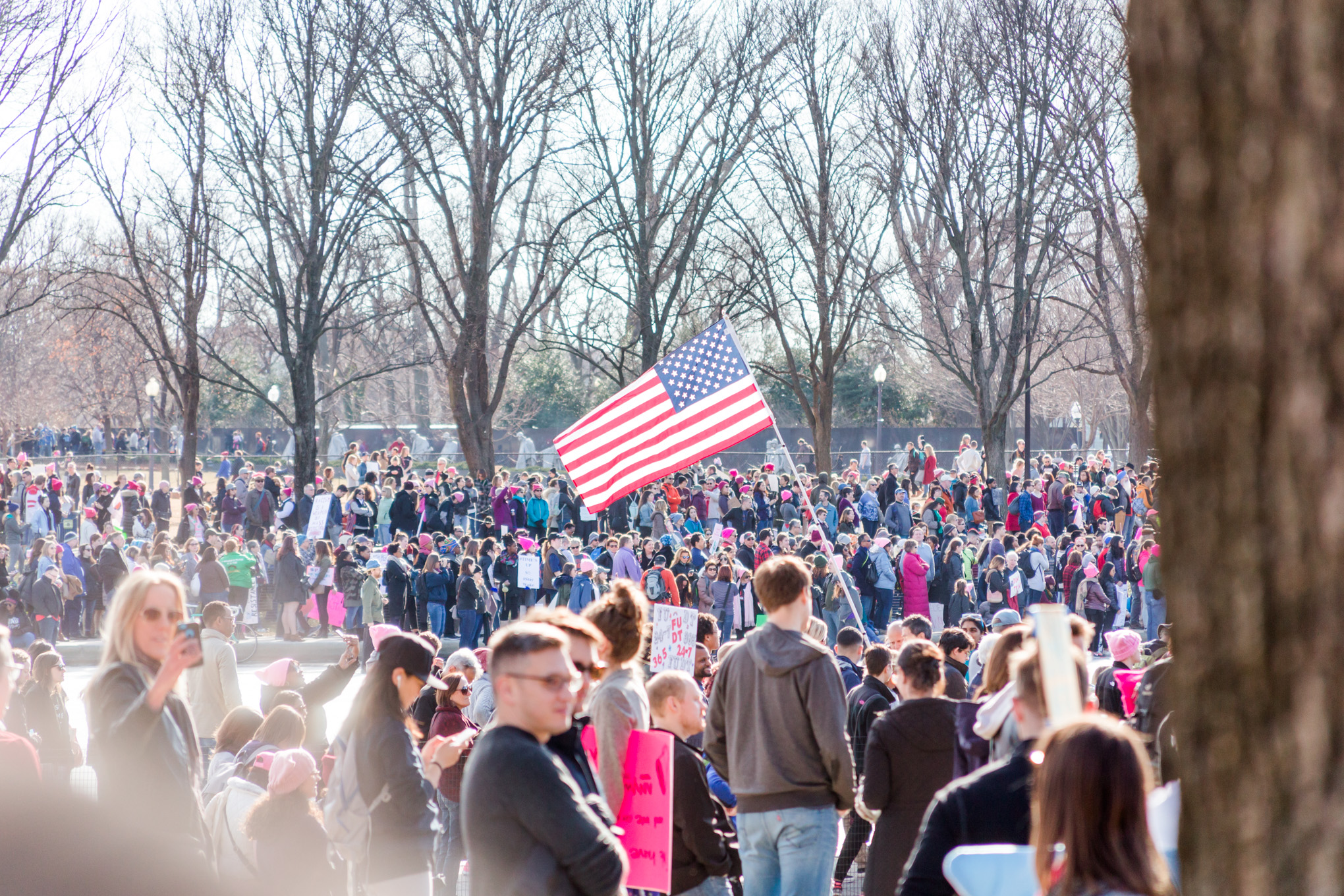 DC Women's March, Women's March, Washington, DC, photo journalism, January 2018, American flag, reflecting pool, protest