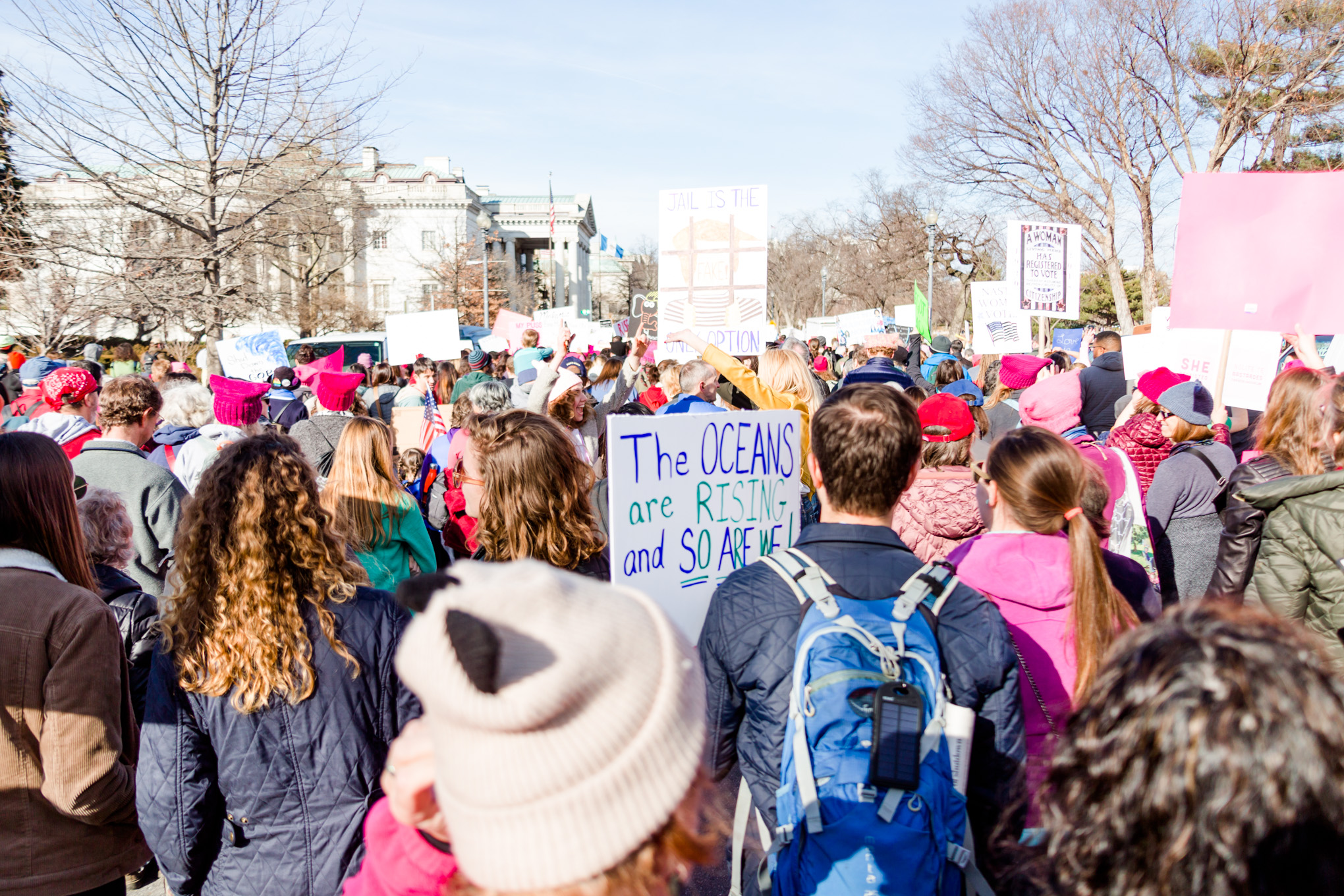 DC Women's March, Women's March, Washington, DC, photo journalism, January 2018, American Red Cross, protest