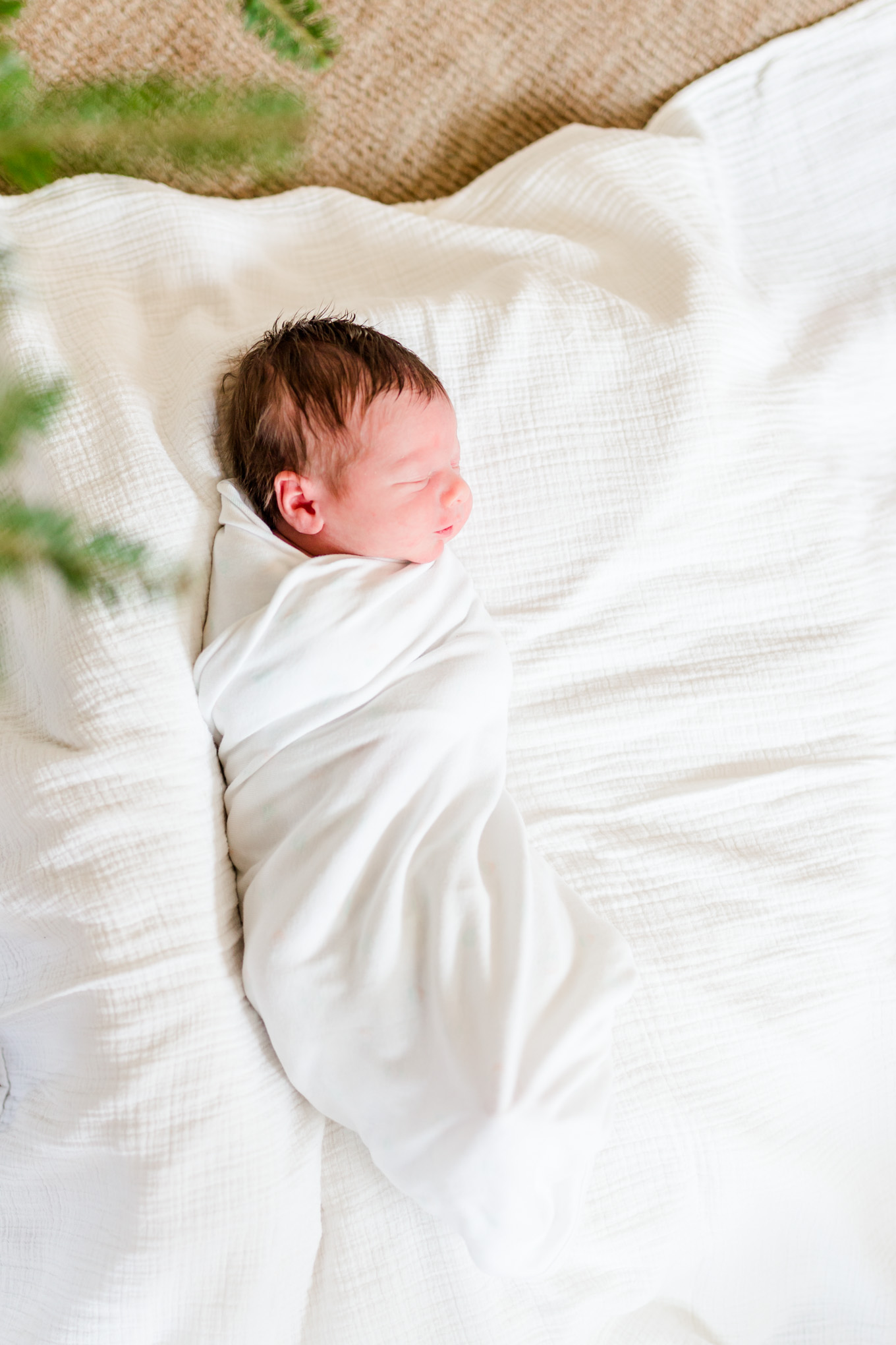 holiday newborn photos, newborn boy, baby boy, holiday photos, Christmas baby, brown haired baby, swaddled baby, Christmas tree