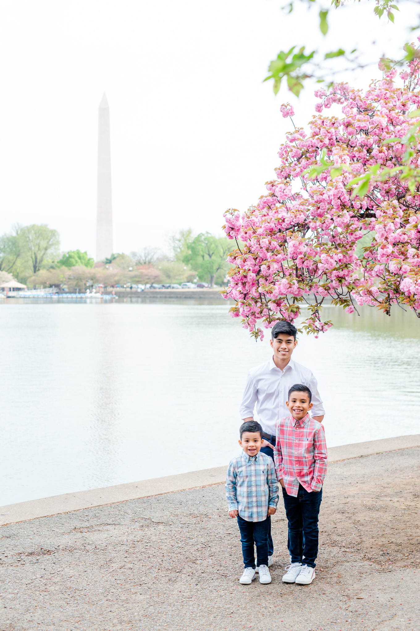 cherry blossoms family photos, D.C. tidal basin, D.C. cherry blossoms maternity photos, D.C. family photos, family photos, spring family photos, family photo ideas, D.C. family portraits, kwanzan cherry blossoms, tidal basin family photos, D.C. photographer, Rachel E.H. Photography, cherry blossoms, family photos style, three brothers, siblings photos