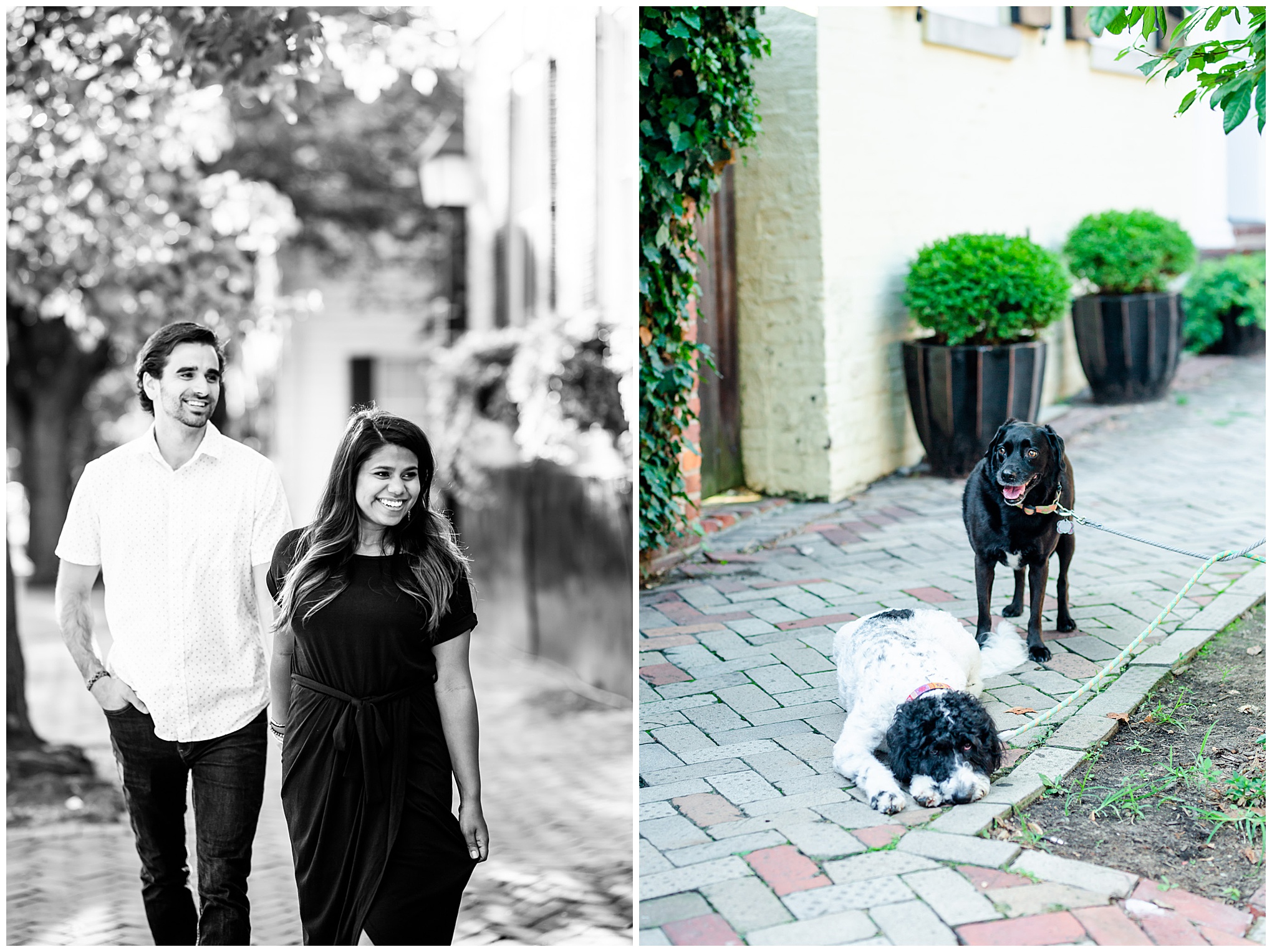 Old Town Alexandria engagement photos, Alexandria engagement photos, Old Town Alexandria photos, Old Town Alexandria, Alexandria engagement photos, Alexandria Virginia, classic engagement photos, historic town engagement photos, engagement photos, Rachel E.H. Photography, black and white engagement photo, two dogs
