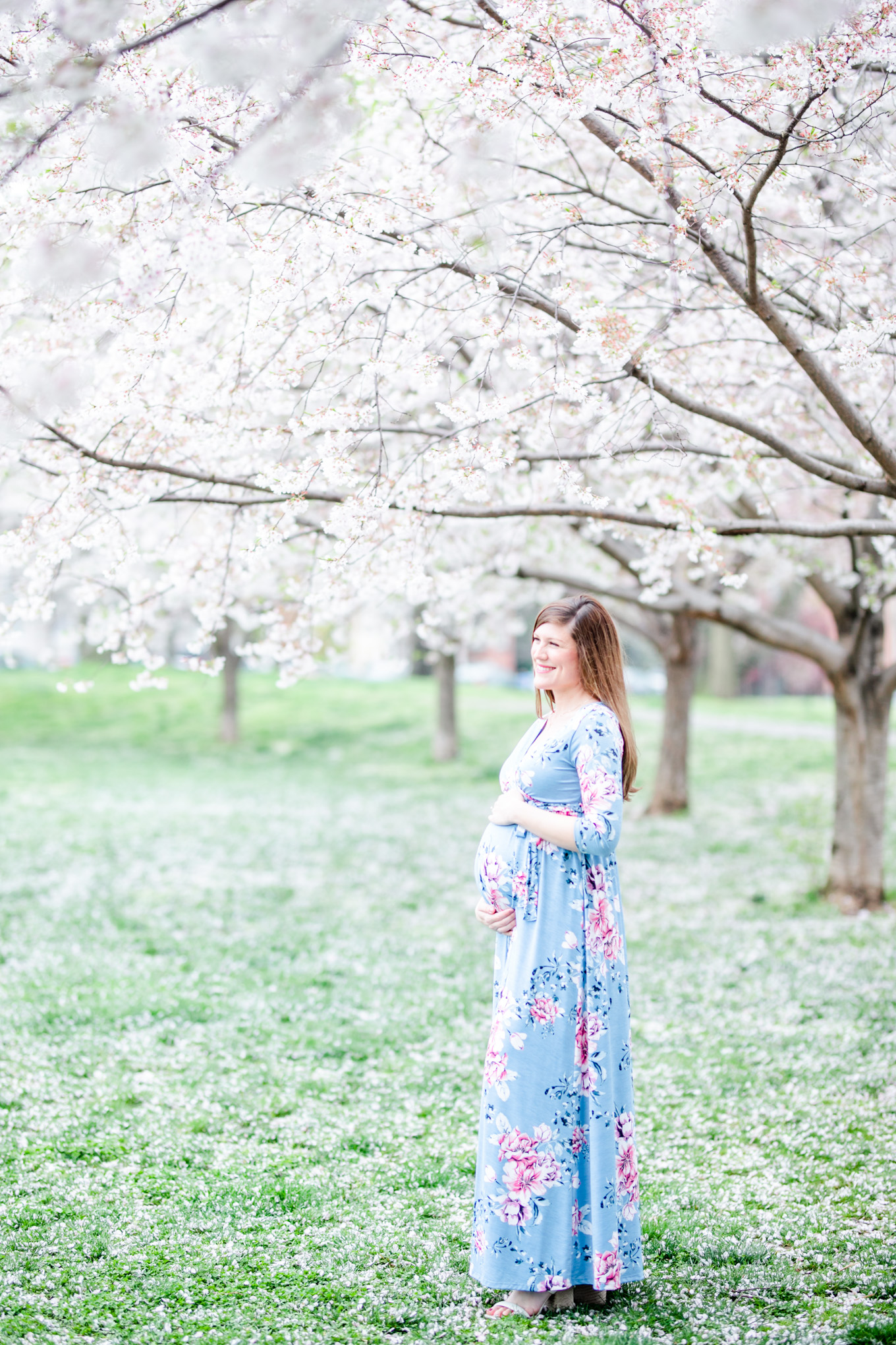 DC cherry blossoms maternity session, D.C. photos, spring maternity photos, sunrise maternity photos, DC sunrise, DC maternity photos, cherry blossoms maternity photos, Rachel E.H. Photography, maternity session style, maternity photos outfit ideas, Rose Park, romantic maternity photos, lush cherry blossoms trees