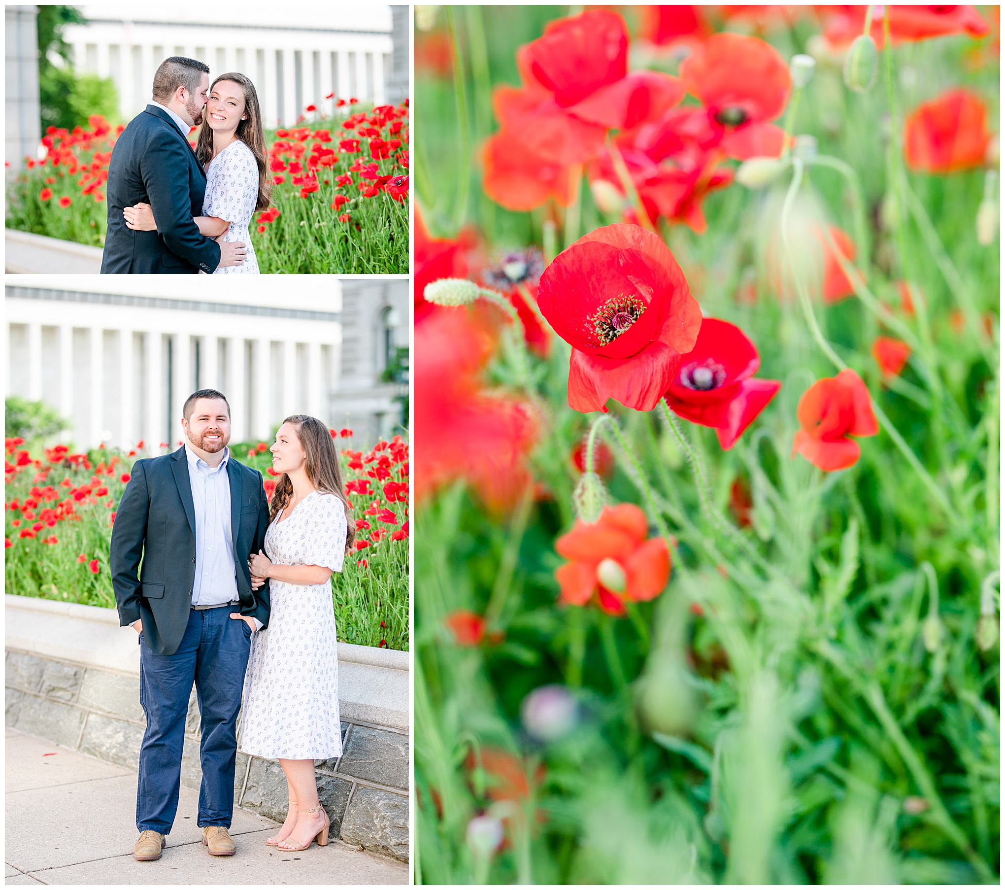 Capitol Hill engagement session, Capitol Hill portraits, D.C. engagement photography, D.C. engagement photographer, D.C. Capitol Hill D.C., DC photography, engagement photography, Rachel E.H. Photography, classic engagement photos, spring engagement photos, poppy garden