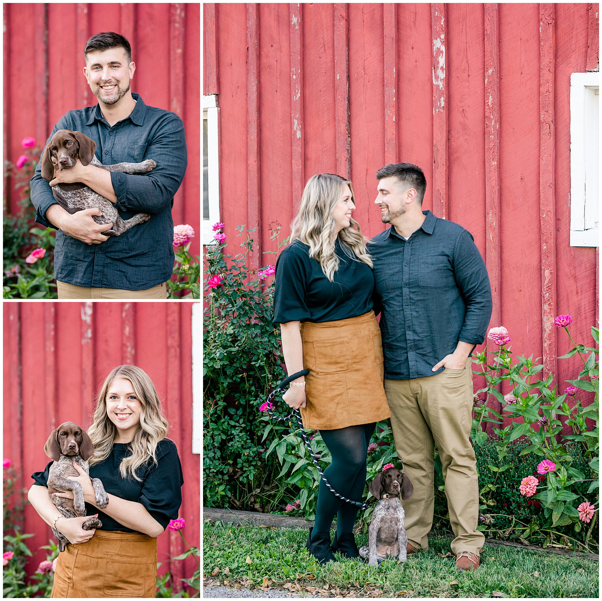 Willowcroft Farm Vineyard surprise proposal, Virginia winery proposal, Leesburg Virginia photographer, Leesburg surprise proposal, Leesburg winery, autumn portraits, outdoor proposal, DC proposal photographer, Leesburg photographer, engaged couple, romantic portraits, Rachel E.H. Photography, German shorthaired pointer, adorable puppy