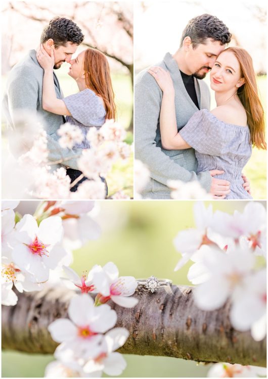 peak bloom cherry blossoms engagement, cherry blossoms engagement photos, DC peak bloom cherry blossoms, DC cherry blossoms photography, DC cherry blossoms photographer, ethereal cherry blossoms photos, DC cherry blossoms, Rachel E.H. Photography, couple touching noses, couple hugging, engagement ring on tree branch, engagement ring on cherry blossom branch