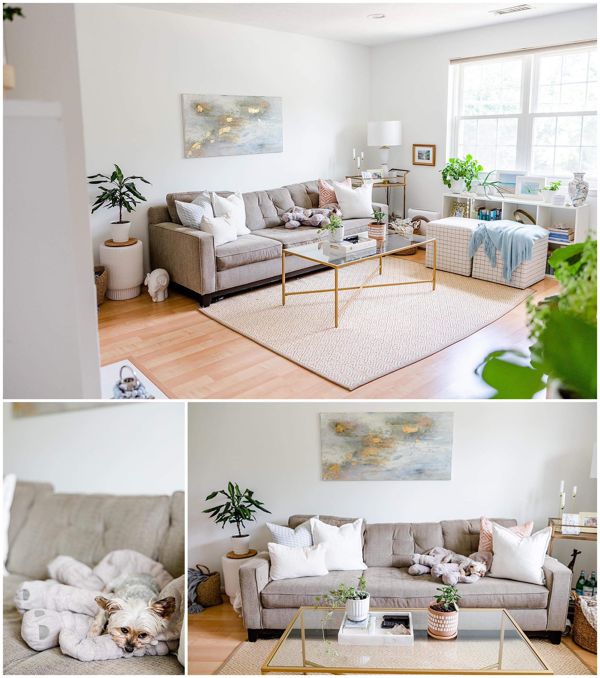 living room tour, apartment tour, photographer's apartment, photographer's life, photographer's aesthetic, Arlington condo living, apartment living, white aesthetic, white and gold aesthetic, condo decor, small space decorating, minimalist decor, subtle beach decor, Rachel E.H. Photography, DC photographer, gray couch, glass coffee table, dog on couch, white pillows