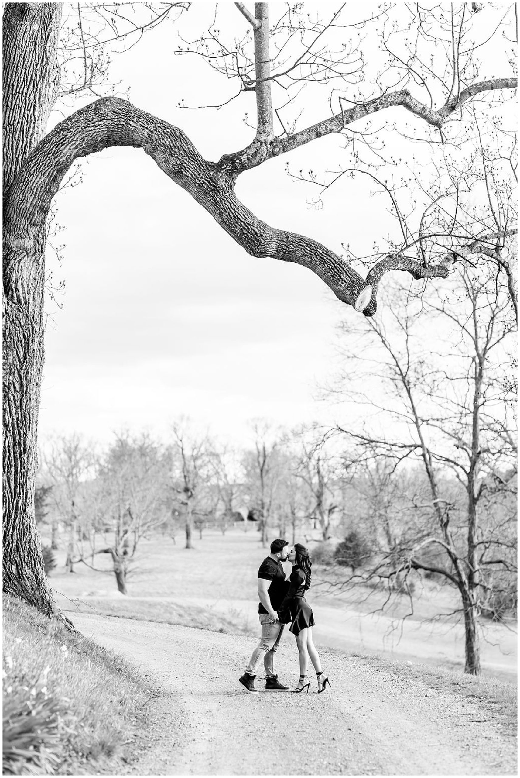 Oatlands Leesburg engagement photos, Leesburg wedding photographer, Leesburg photographer, Otlands engagement photos, DC engagement photographer, DC wedding photographer, spring engagement photos, sexy engagement photos, Rachel E.H. Photography, black and white, couple kissing under tree, stone pathway