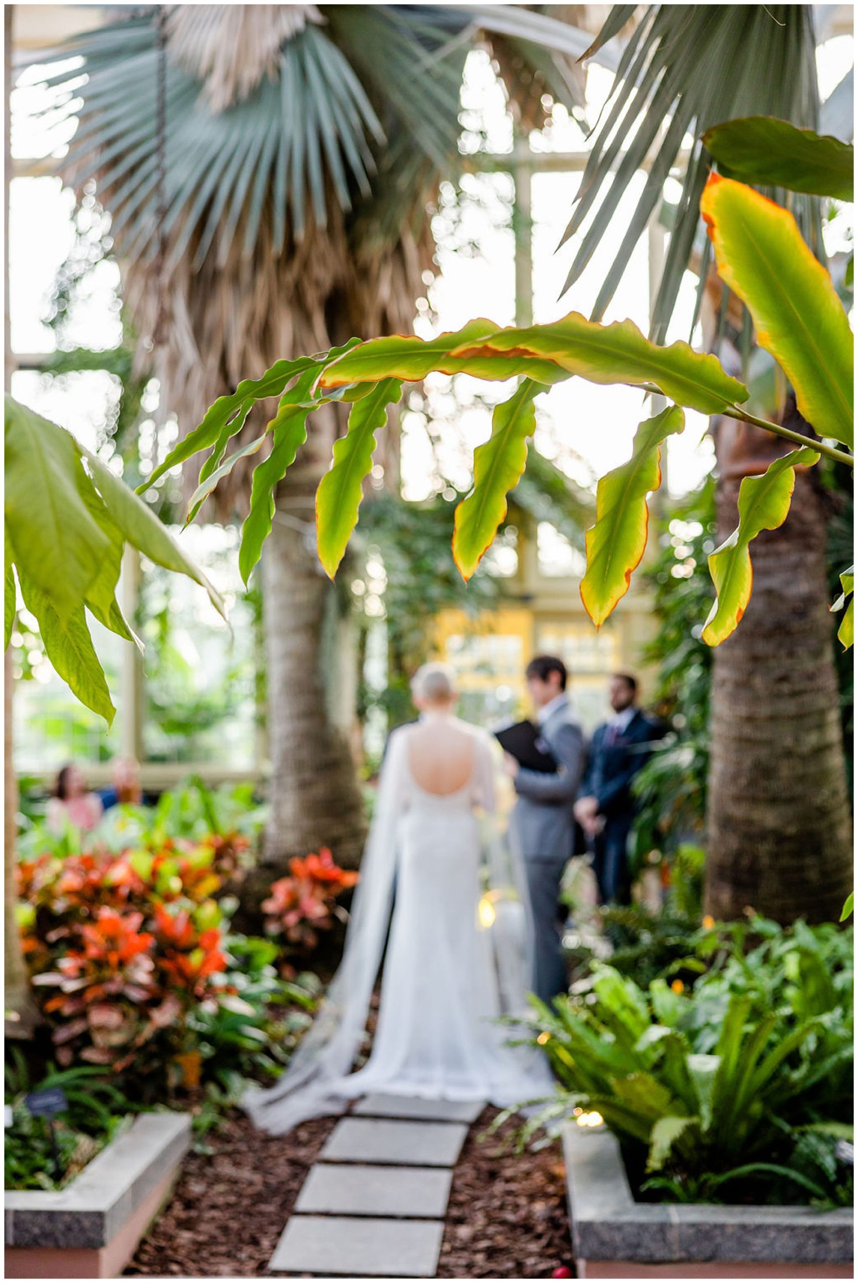 ethereal Rawlings Conservatory wedding, Baltimore wedding venues, Baltimore wedding photographer, Baltimore micro-wedding, Baltimore wedding photography, autumn wedding aesthetic, botanical gardens wedding, Baltimore botanical garden wedding, DC wedding photographer, Rachel E.H. Photography, couple at alter, blurred wedding picture, couple at alter under palm trees, BHLDN wedding dress