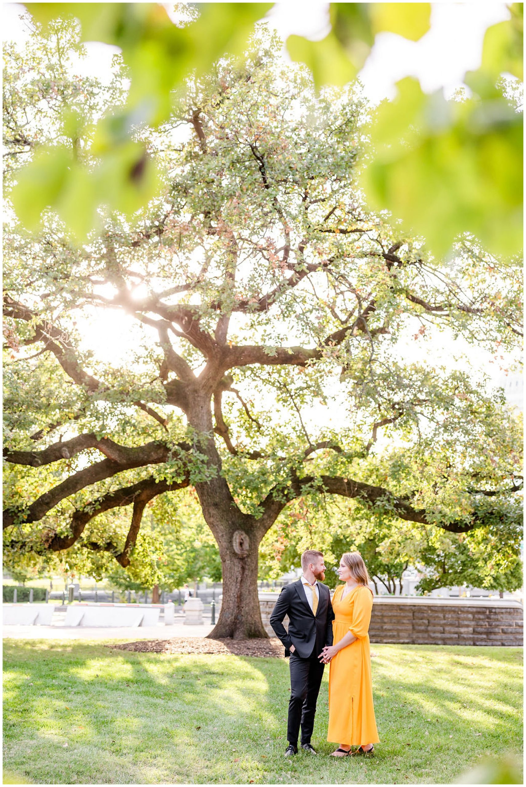 glowing Capitol Hill elopement portraits, Capitol Hill Washington DC, DC elopement portraits, DC elopement photographer, DC wedding photographer, DC portrait photographer, DC photographer, Capitol Hill portraits, autumn portraits, Capitol Hill photographer, Rachel E.H. Photography, couple under tree, couple smiling from behind leaves, camera behind leaves