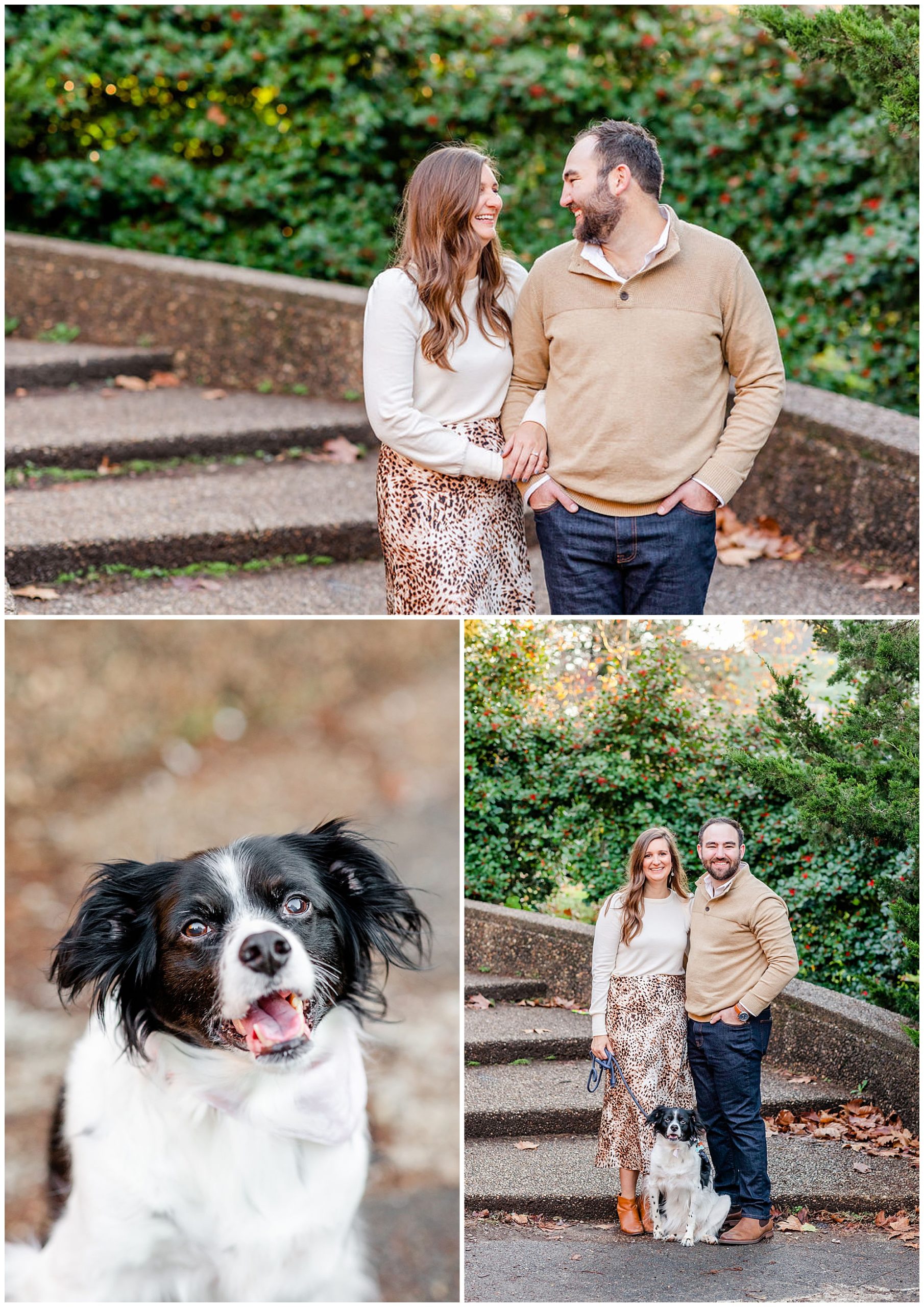 Meridian Hill Park engagement session, Meridian Hill Park DC, DC engagement photography, DC engagement photos, DC engagement session, DC engagement photographer, DC proposal photographer, DC wedding photographer, autumn engagement photos, Rachel E.H. Photography, couple smiling at each other, dog panting, cheetah print maxi skirt