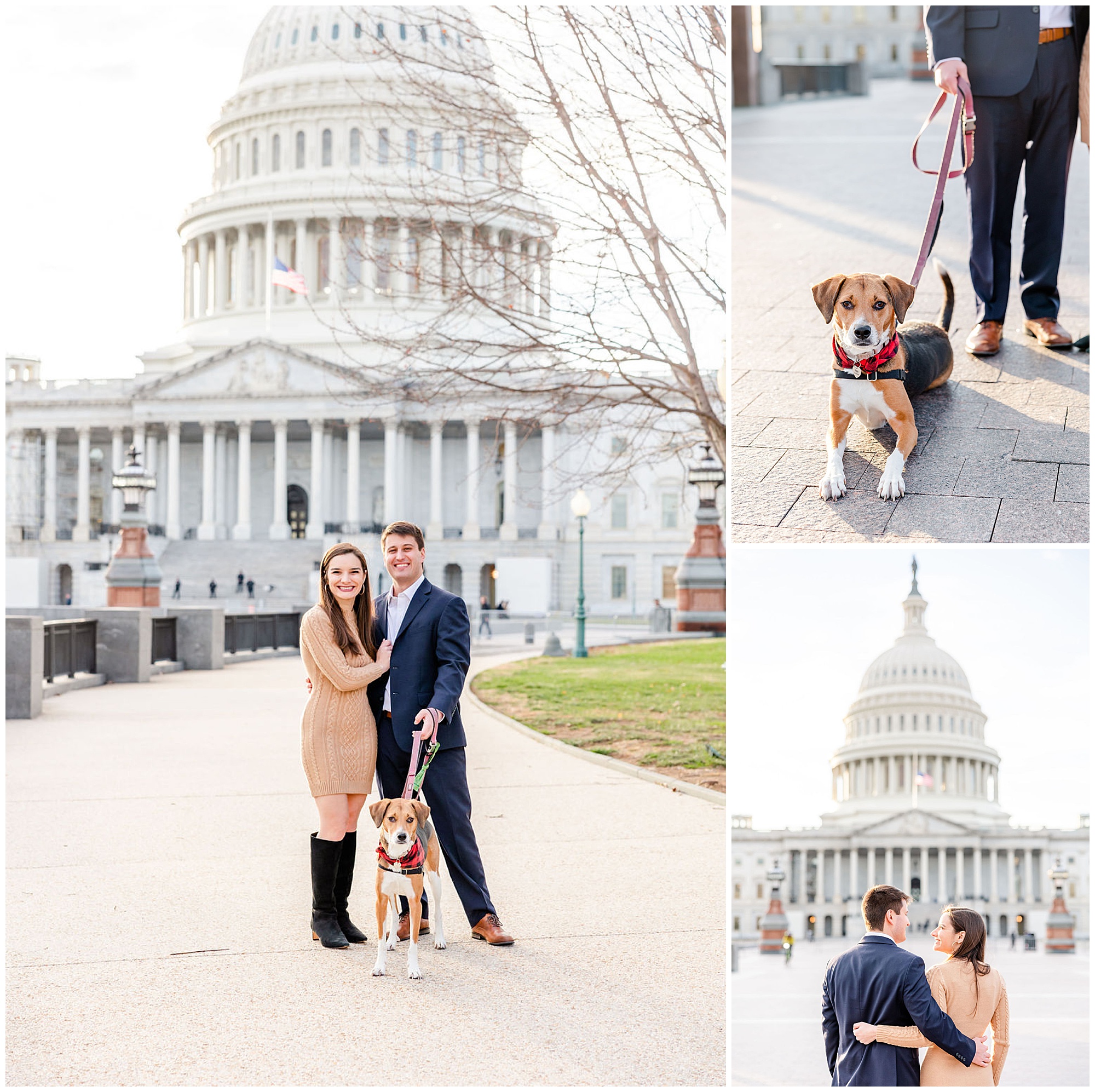 autumn Capitol Hill engagement session, Capitol Hill engagement photos, Capitol Hill photographer, DC engagement photography, DC engagement photographer, DC wedding photography, autumn engagement photos, casual engagement photos, Rachel E.H. Photography, couple smiling with dog, dog laying on stone path, couple with arms around each other, couple with backs to the camera