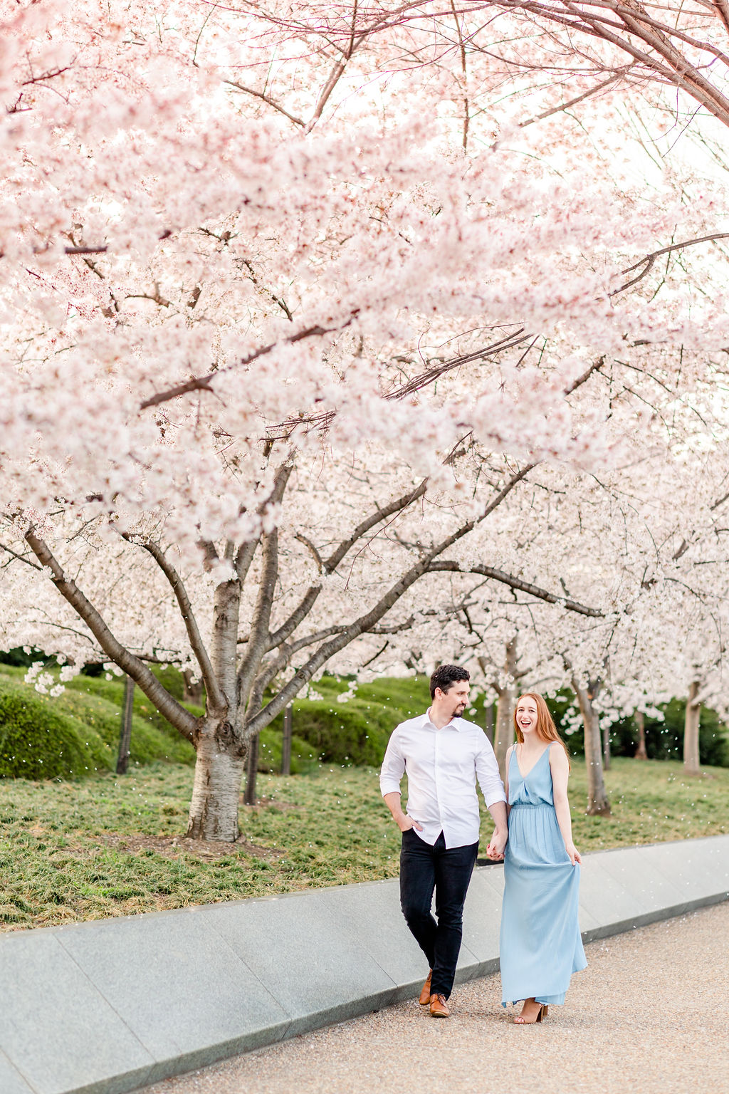 peak bloom cherry blossoms engagement, cherry blossoms engagement photos, DC peak bloom cherry blossoms, DC cherry blossoms photography, DC cherry blossoms photographer, ethereal cherry blossoms photos, DC cherry blossoms, Rachel E.H. Photography, couple holding hands, couple walking on path, cherry blossom petals falling