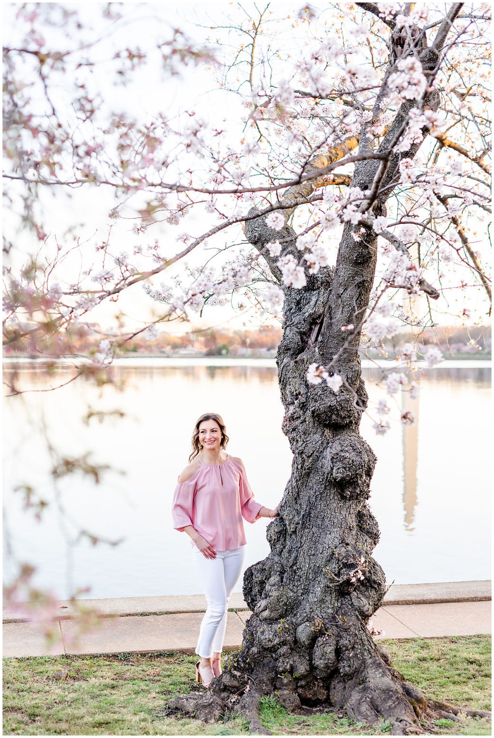 D.C. cherry blossoms headshots, cherry blossoms brand photos, DC peak bloom cherry blossoms, DC cherry blossoms photography, DC cherry blossoms photographer, DC cherry blossoms season, Rachel E.H. Photography, female headshots, woman with hand on tree, woman touching tree, white pants, pink blouse, cherry blossom tree, reflecting pool