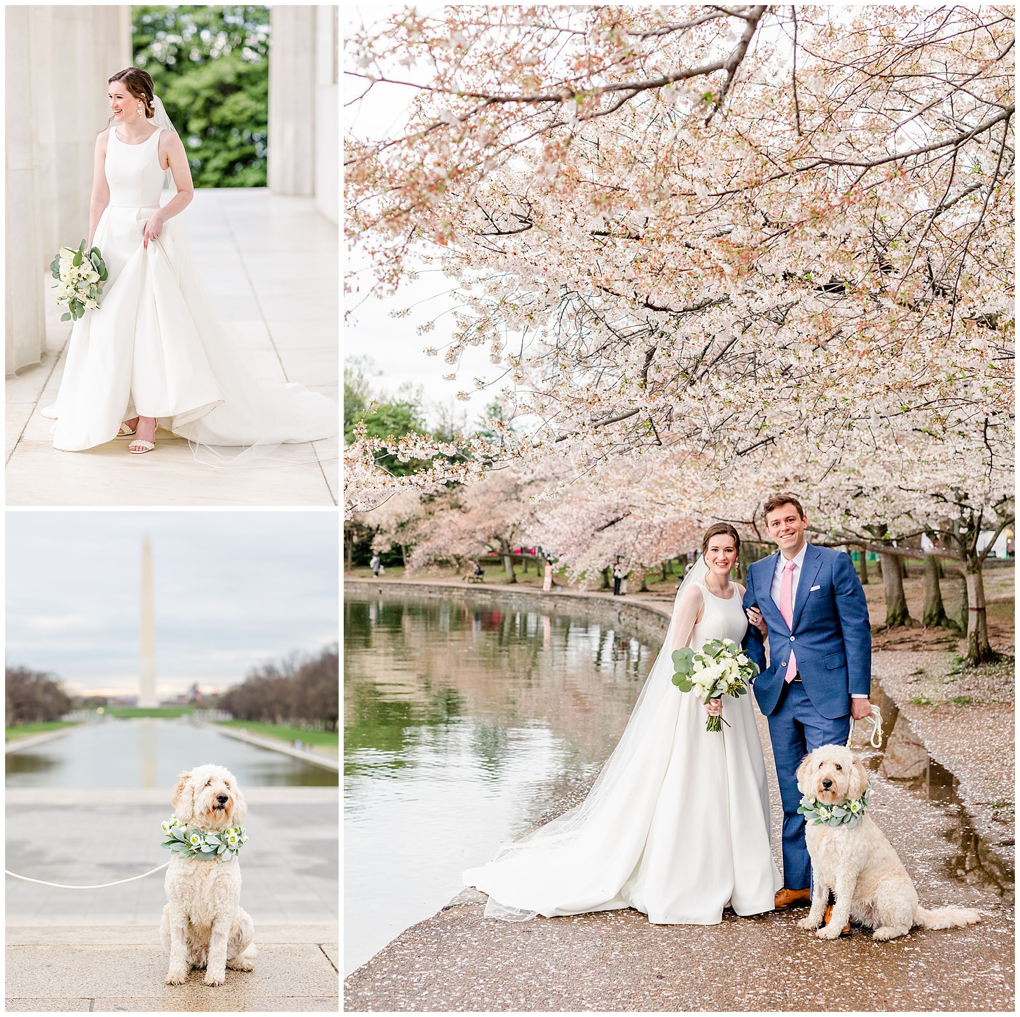 best of 2022 elopements and micro-weddings, best of weddings, best of 2022, DC wedding photographer, DC micro-wedding photographer, DC elopement photographer, Alexandria elopement photographer, Old Town elopement photographer, Rachel E.H. Photography, couple smiling with dog, pale pink cherry blossoms, dog in front of reflecting pool