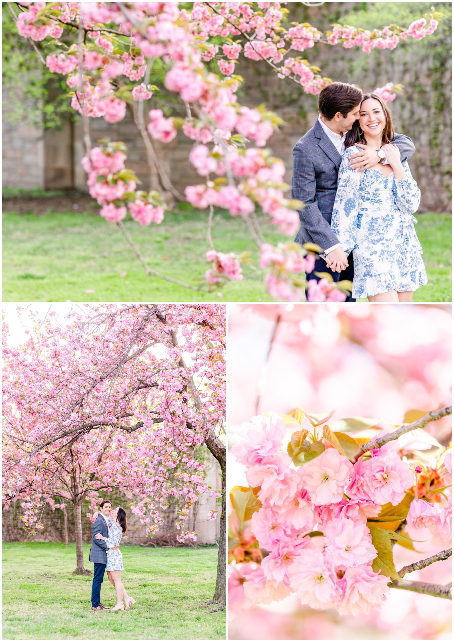 kwanzan cherry blossom photos, D.C. cherry blossoms, alternative cherry blossoms, flowering trees, bright pink blossoms, fluffy pink blossoms, spring portraits, spring photo ideas, Rachel E.H. Photography, man hugging woman from behind, couple behind cherry blossom branches, couple under cherry blossom tree, couple almost kissing
