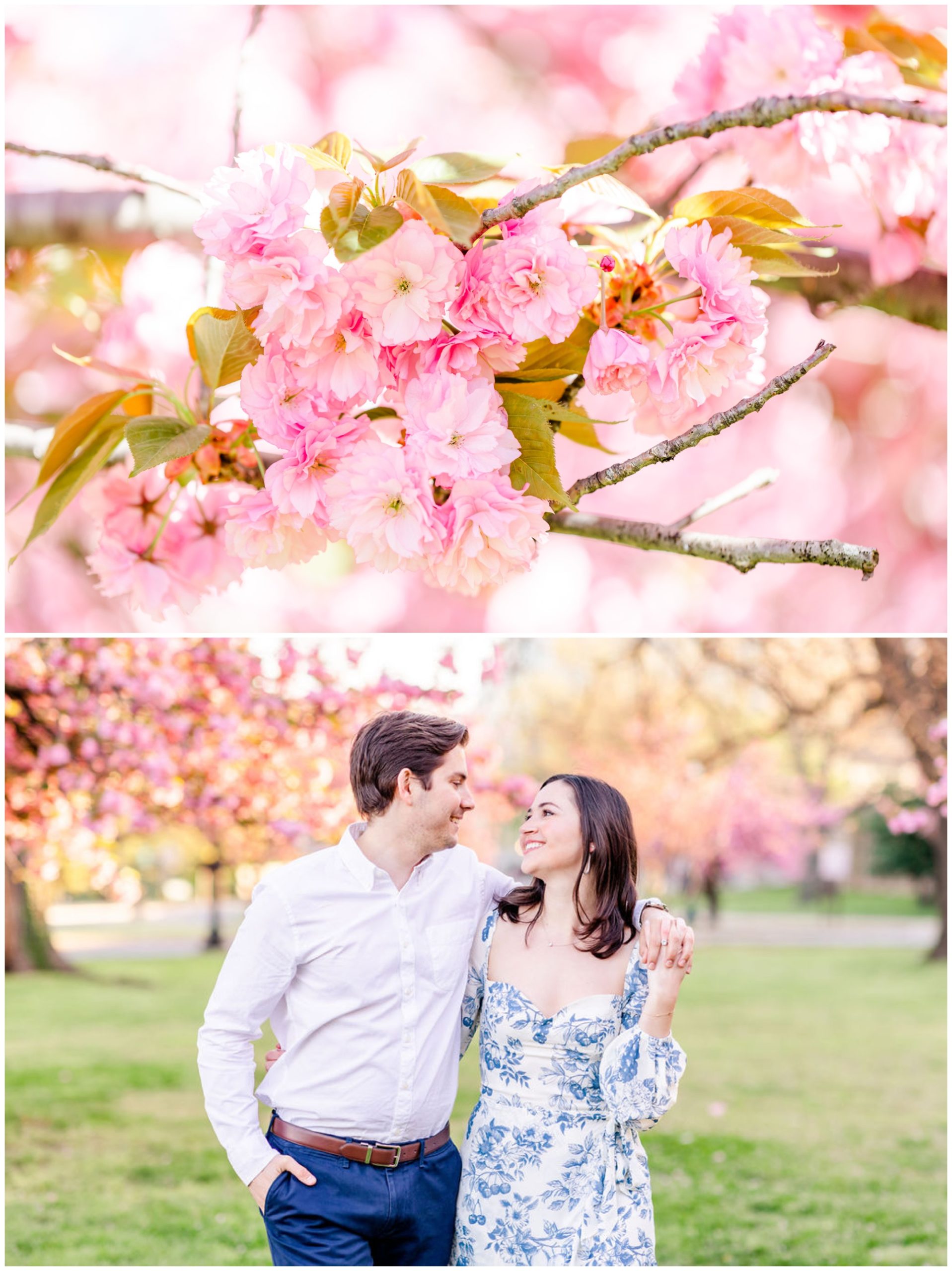 kwanzan cherry blossom photos, D.C. cherry blossoms, alternative cherry blossoms, flowering trees, bright pink blossoms, fluffy pink blossoms, spring portraits, spring photo ideas, Rachel E.H. Photography, couple looking at each other, couple in cherry blossom field, large cluster of cherry blossoms on gray branch